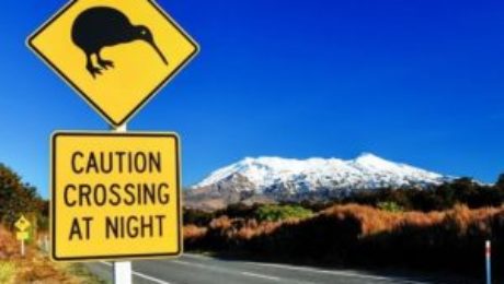 driving in new zealand driving in new zealand